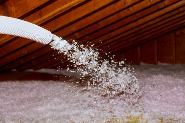 Best Insulation Maintenance and Repair in Travelers Rest, SC